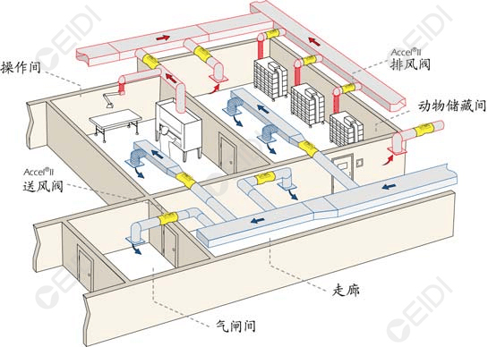 動(dòng)物房潔凈室空調(diào)設(shè)計(jì)：開(kāi)放式籠架具屏障環(huán)境送回風(fēng)設(shè)計(jì)要點(diǎn)  CEIDI西遞